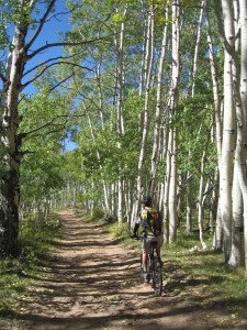 Riding through aspens!